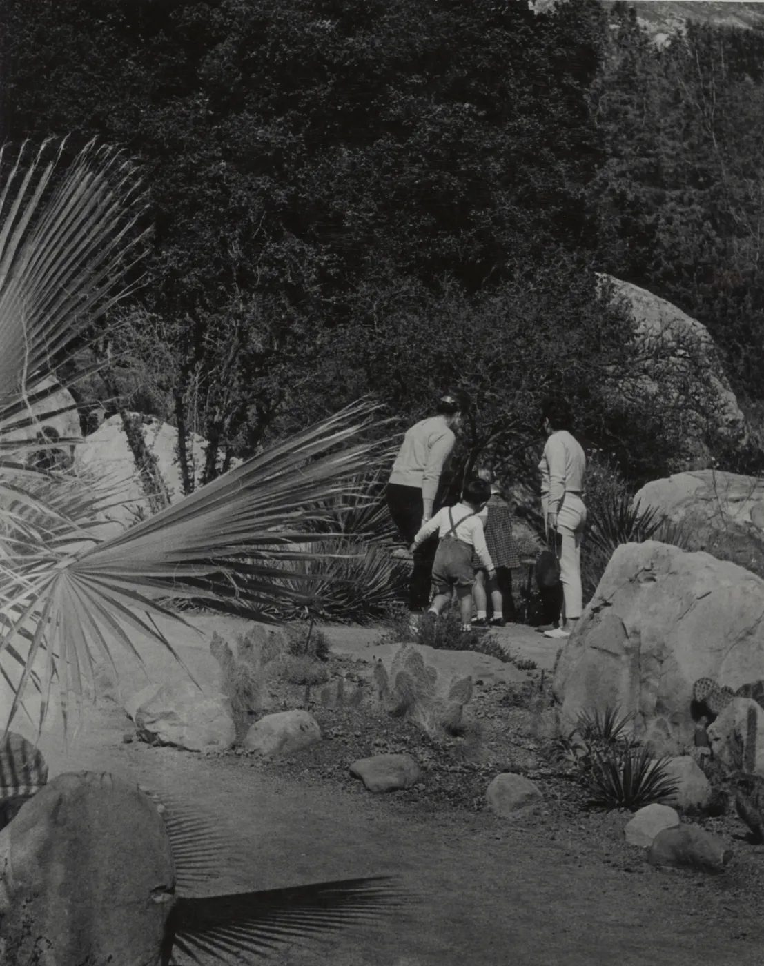 Visitors at Santa Barbara Botanic Garden