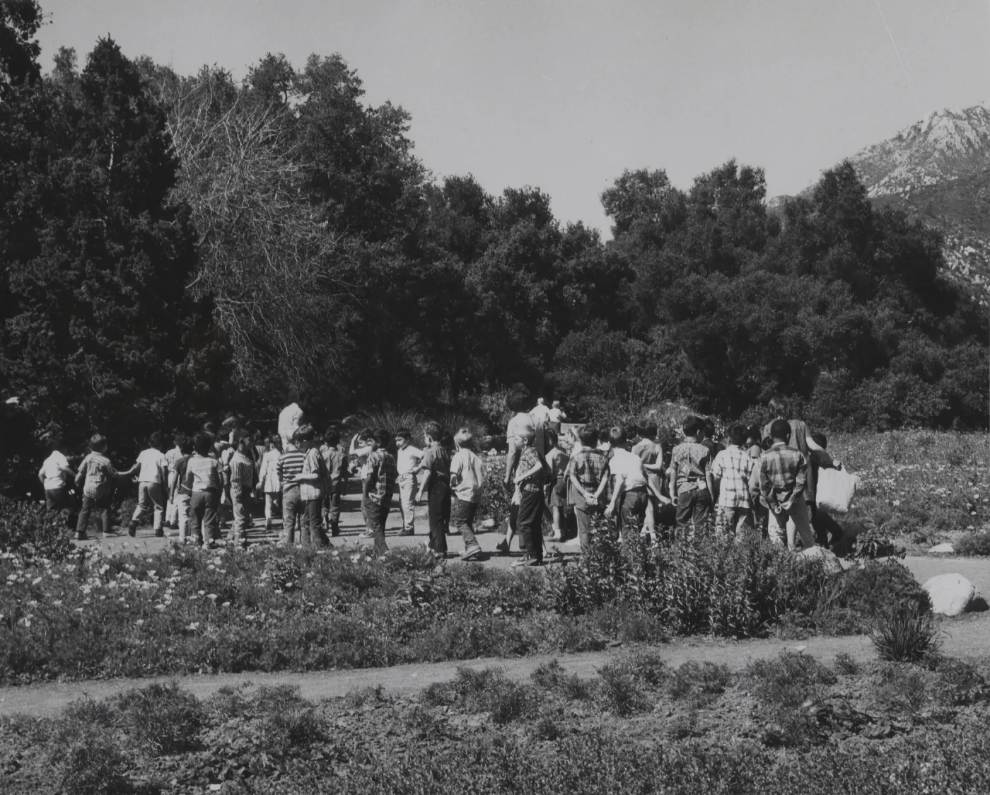 School children in the Garden