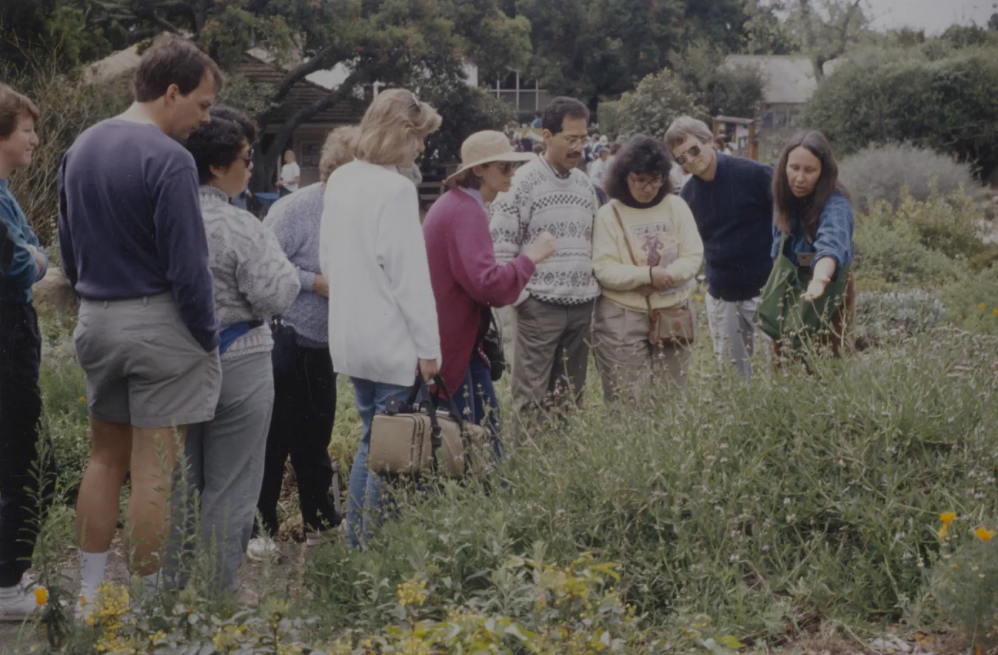 Docent Tour at Wildflower Day 1993
