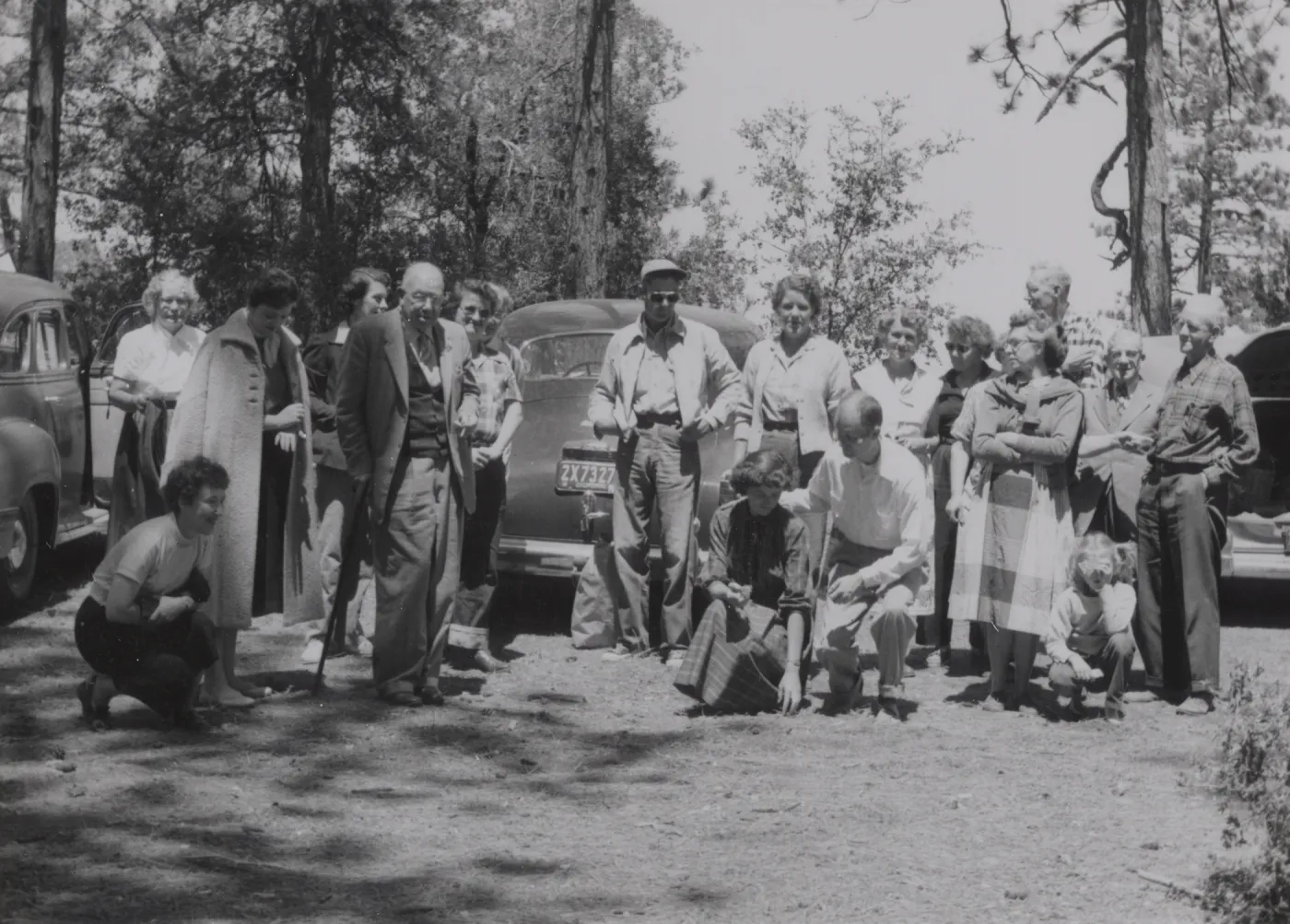 SBBG Figueroa Mountain field trip 1955