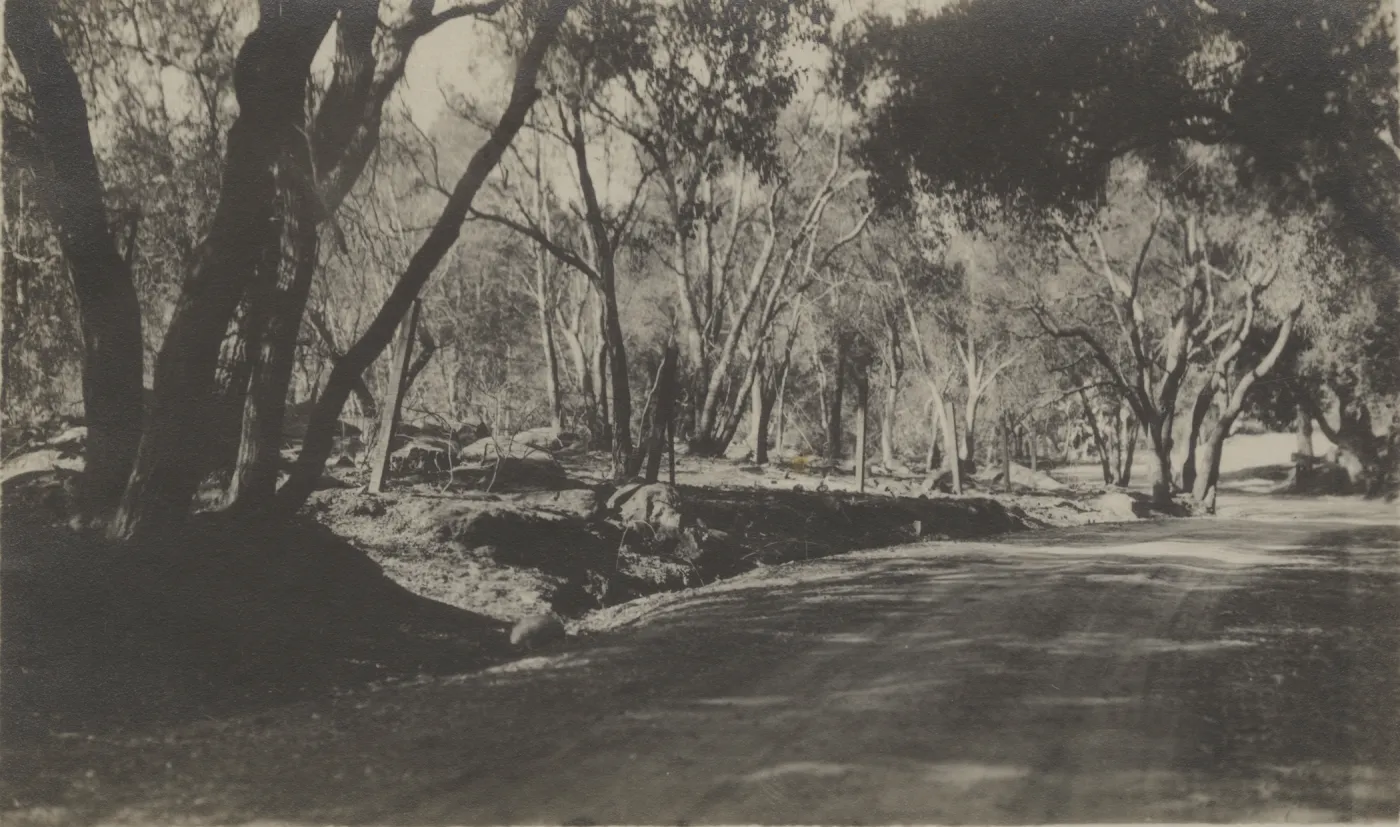 Mission Canyon Road after burn, 1917