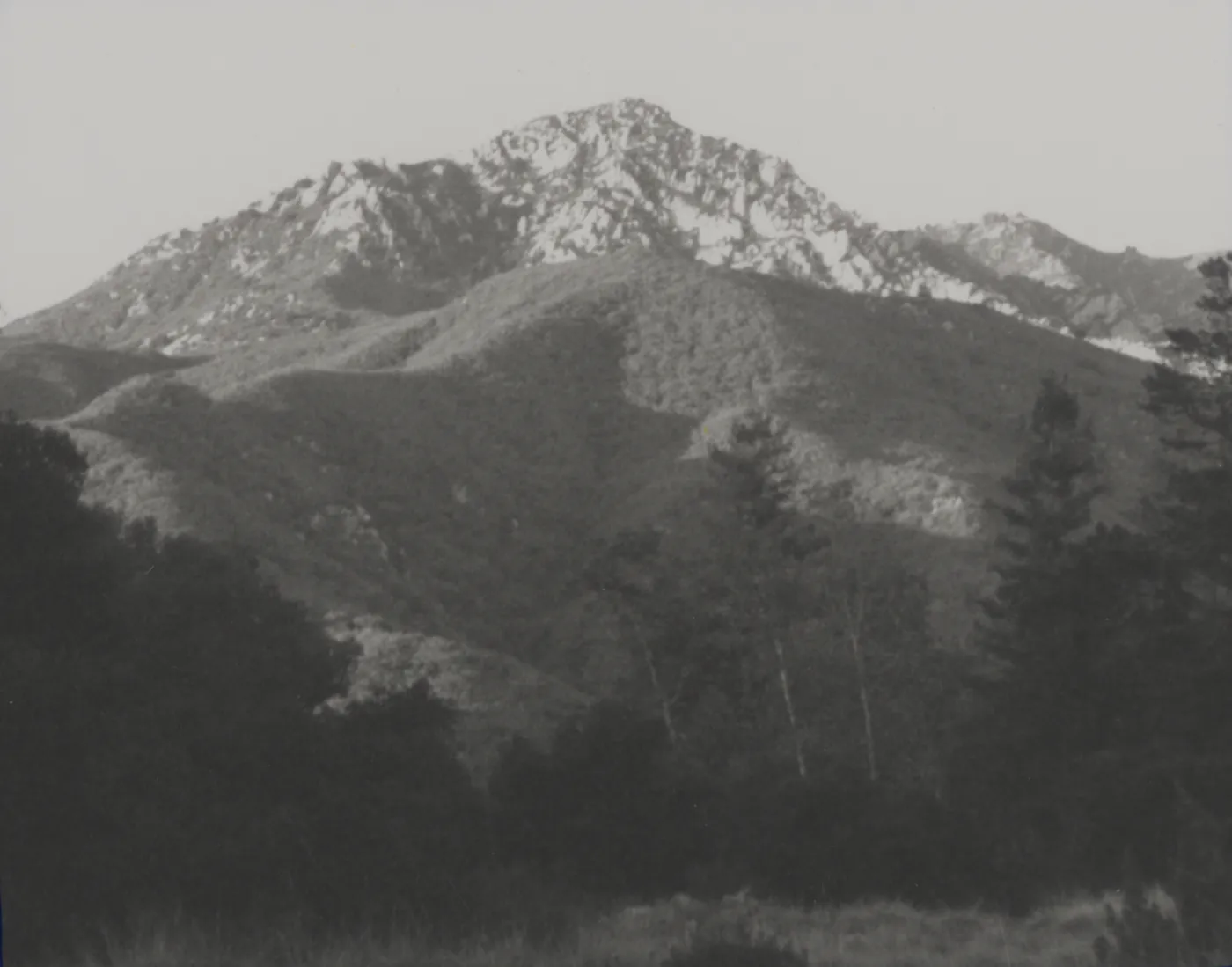 Arlington Peak from SBBG Meadow