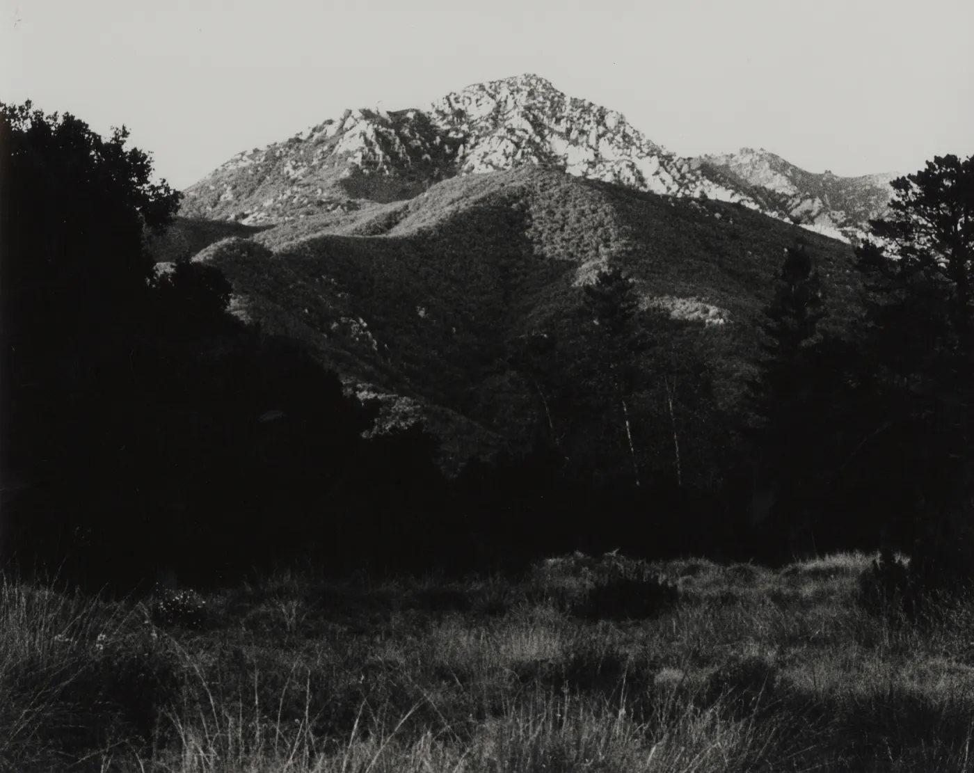 La Cumbre Peak viewed from SBBG Meadow