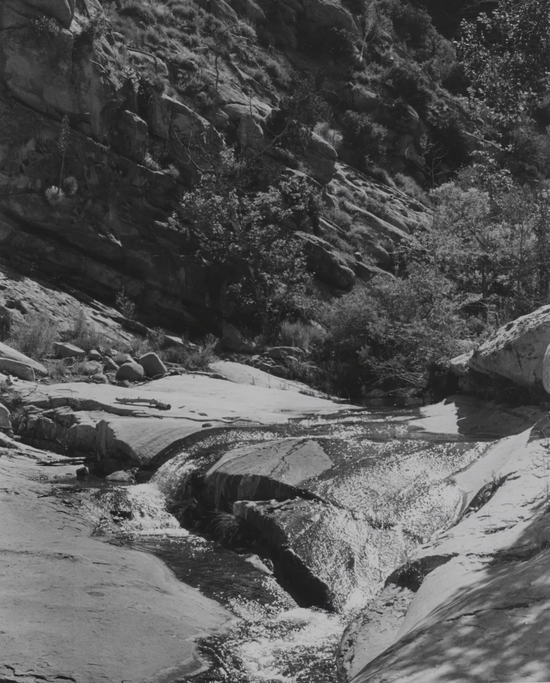 Sisquoc River at Rattlesnake Creek