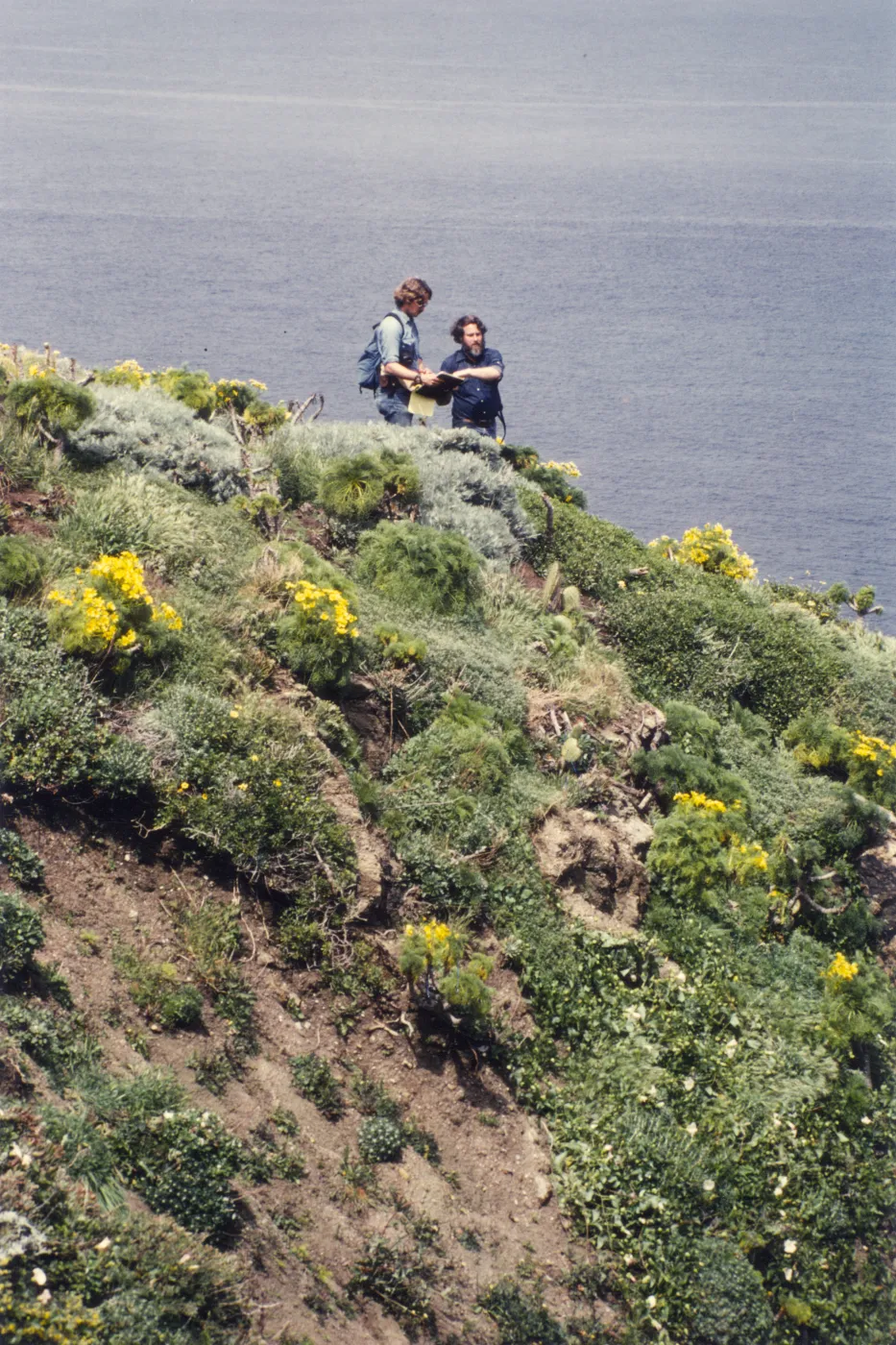 Steve Junak and Ralph Philbrick on West Anacapa Island