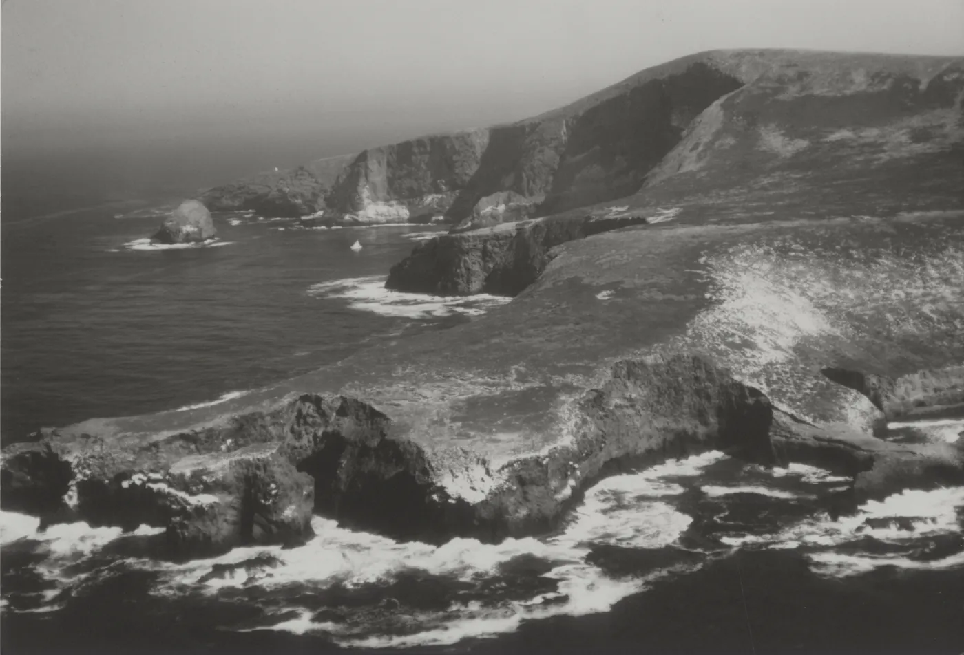 Santa Barbara Island, © Steve Junak
