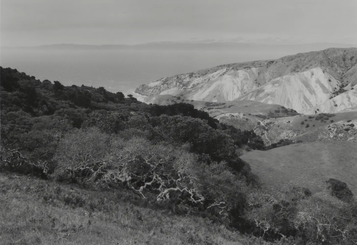 Santa Cruz Island, © William Dewey