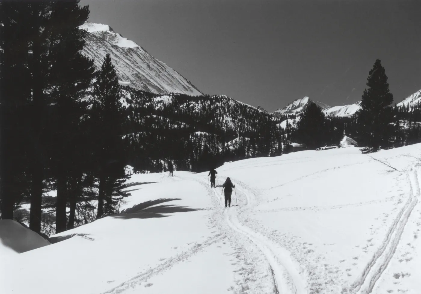 Skiing in the Sierras, © Steven Timbrook