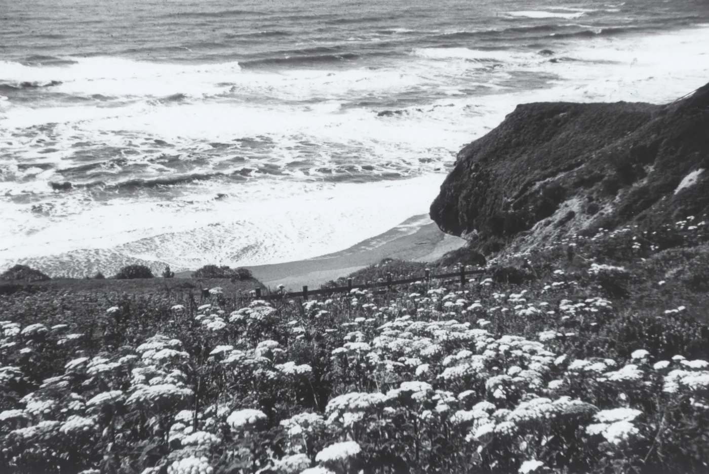 Mendocino Coast, © J.R. Haller