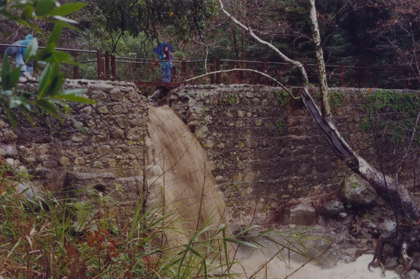 Mission Creek flooding through the flue at Mission Dam