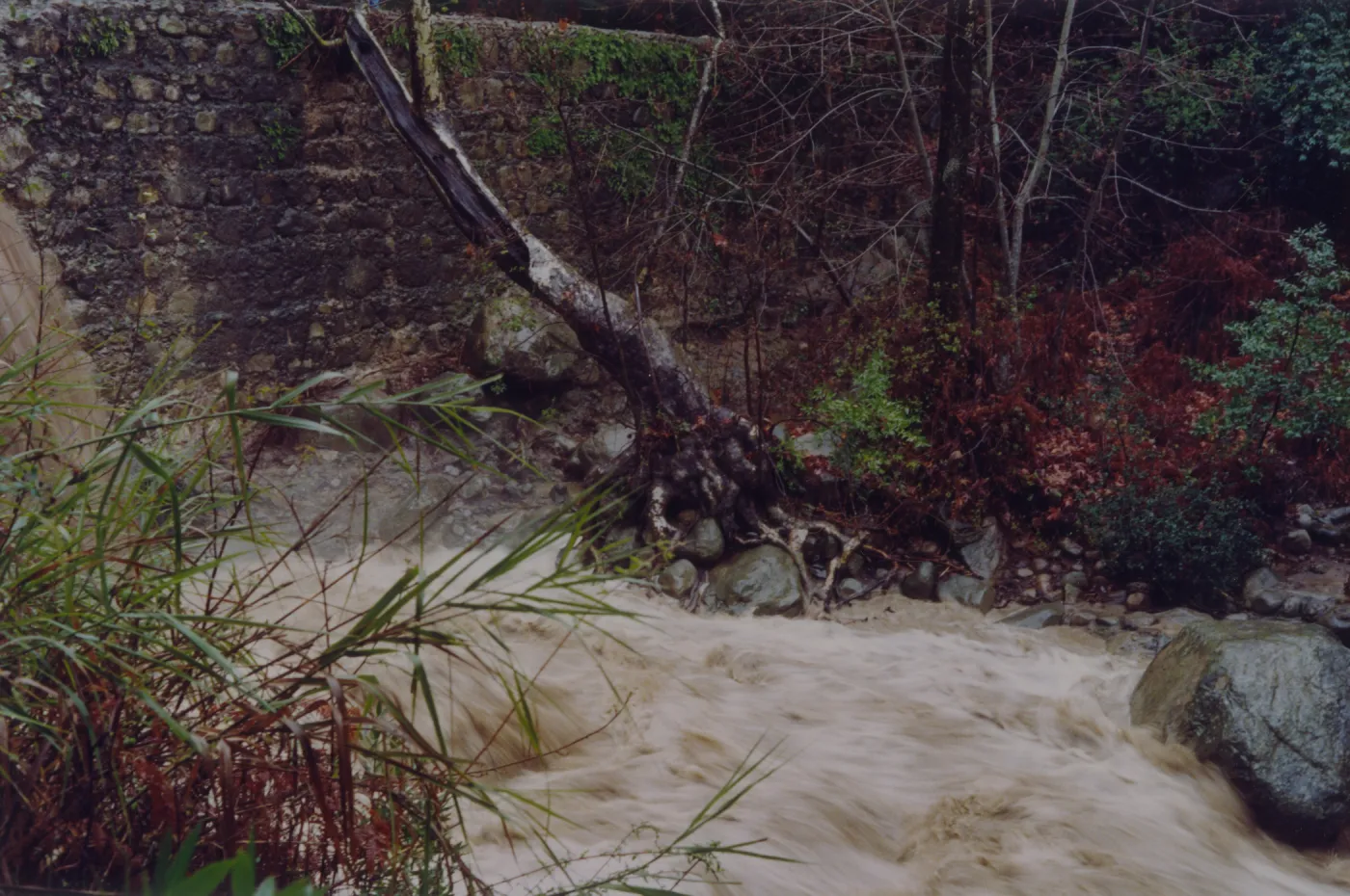 Mission Creek flooding through the flue at Mission Dam