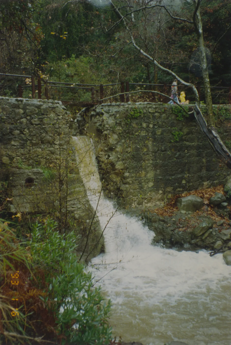 Mission Creek below Mission Dam