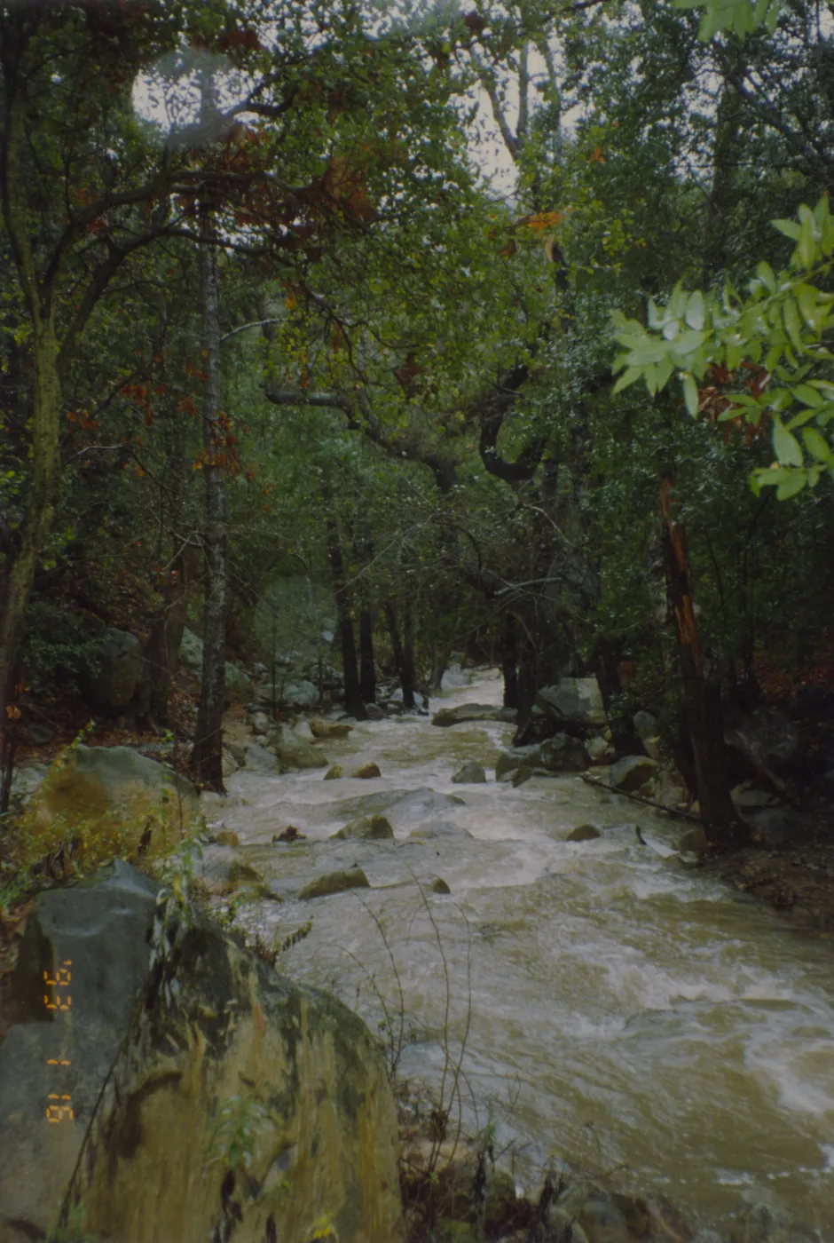 Mission Creek
