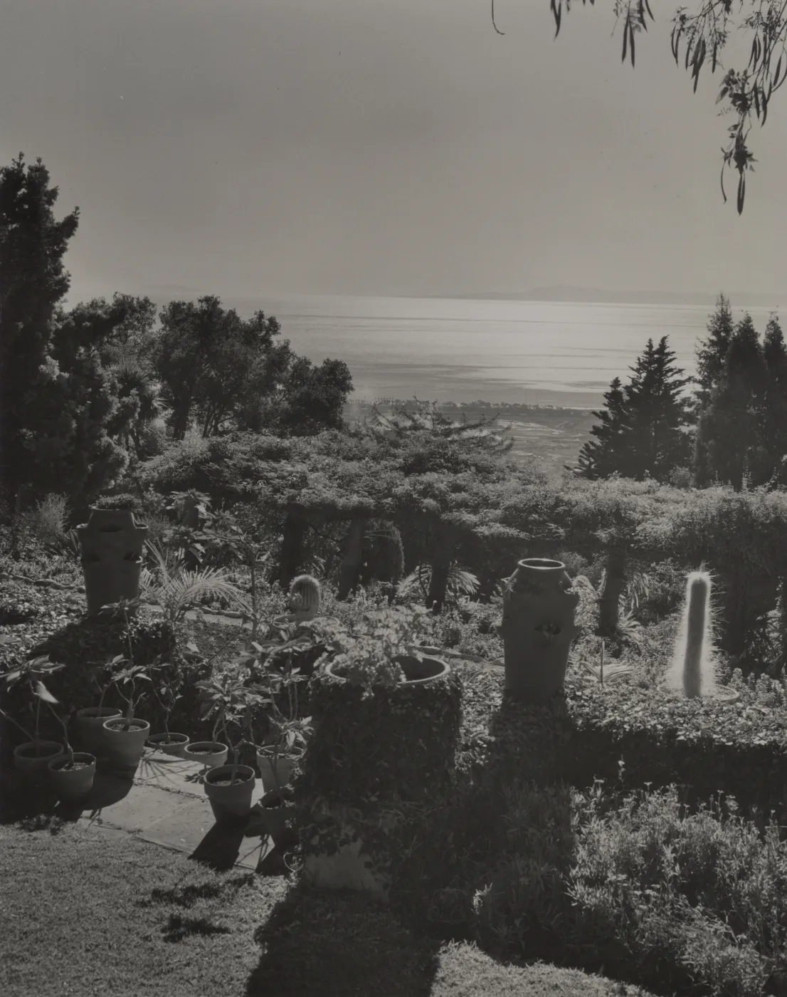 © Josef Muench