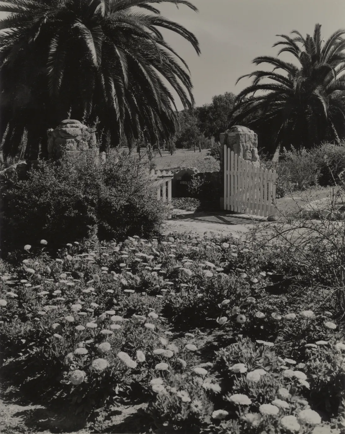 Los Arboles, residence of Mrs. John W. Stewart, Hope Ranch, California; © Josef Muench