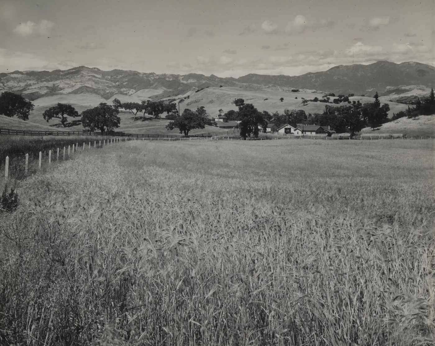 Santa Ynez Valley, © Josef Muench