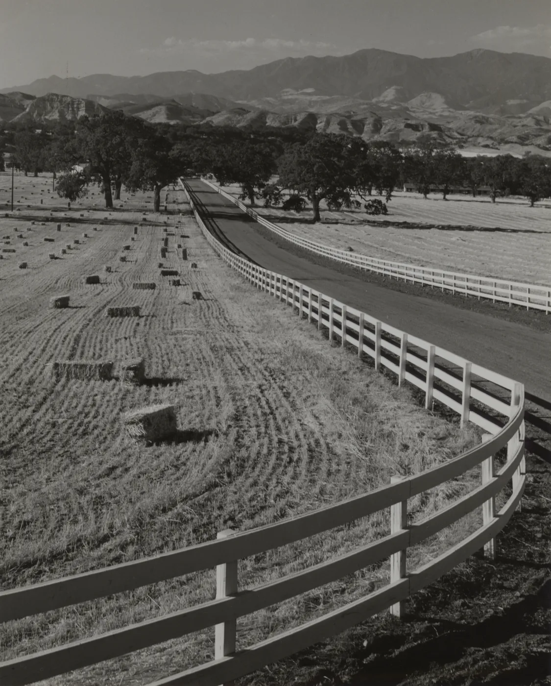 harvest time in the Santa Ynez Valley, © Josef Muench