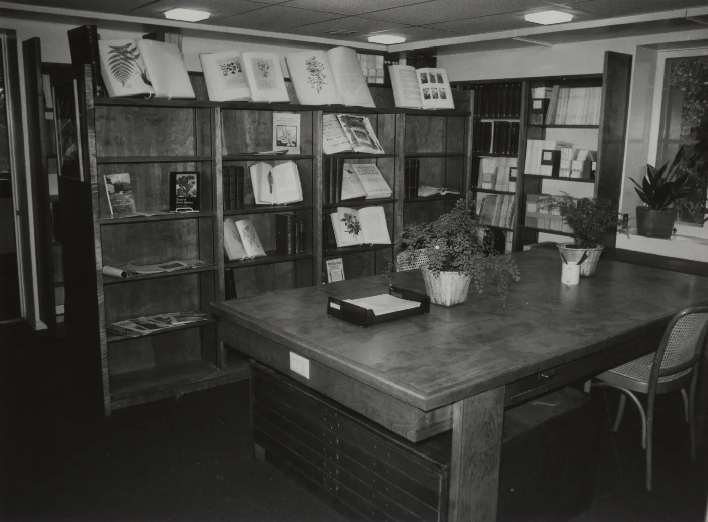 Muller Reading Room Interior at Opening
