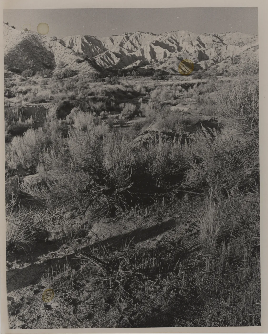 Quatal Canyon, Cuyama