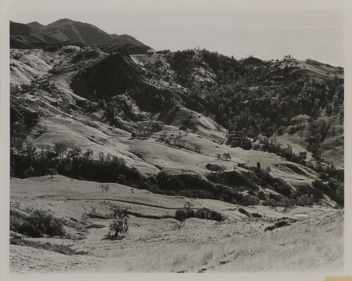 'The Figueroa Mountain region'