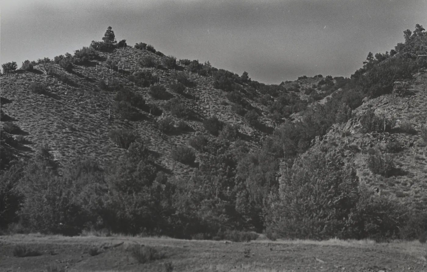 Santa Barbara Canyon?