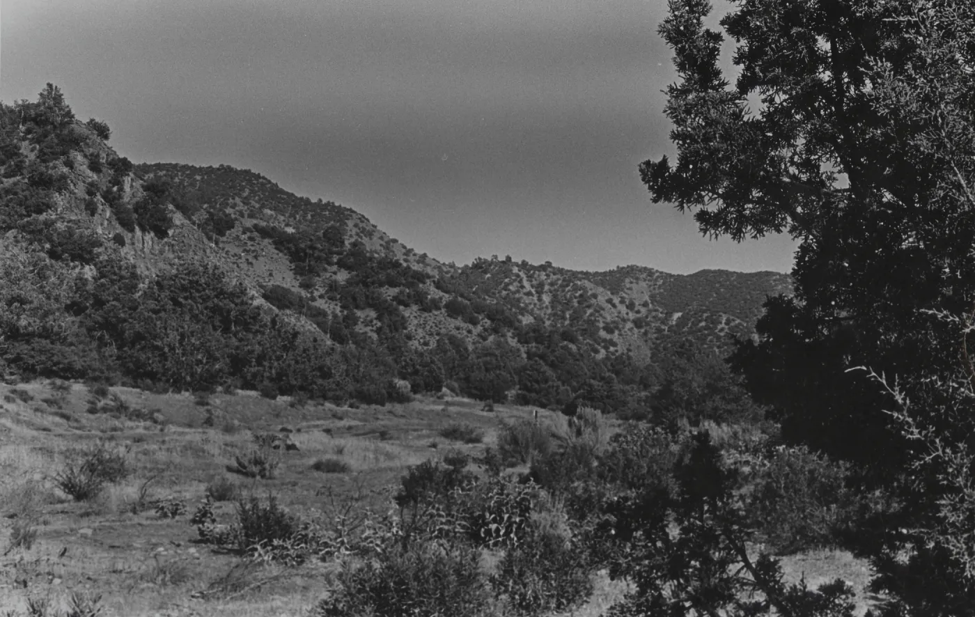 fringes of pinyon-juniper woodland about Santa Barbara Canyon in the upper Cuyama Valley watershed