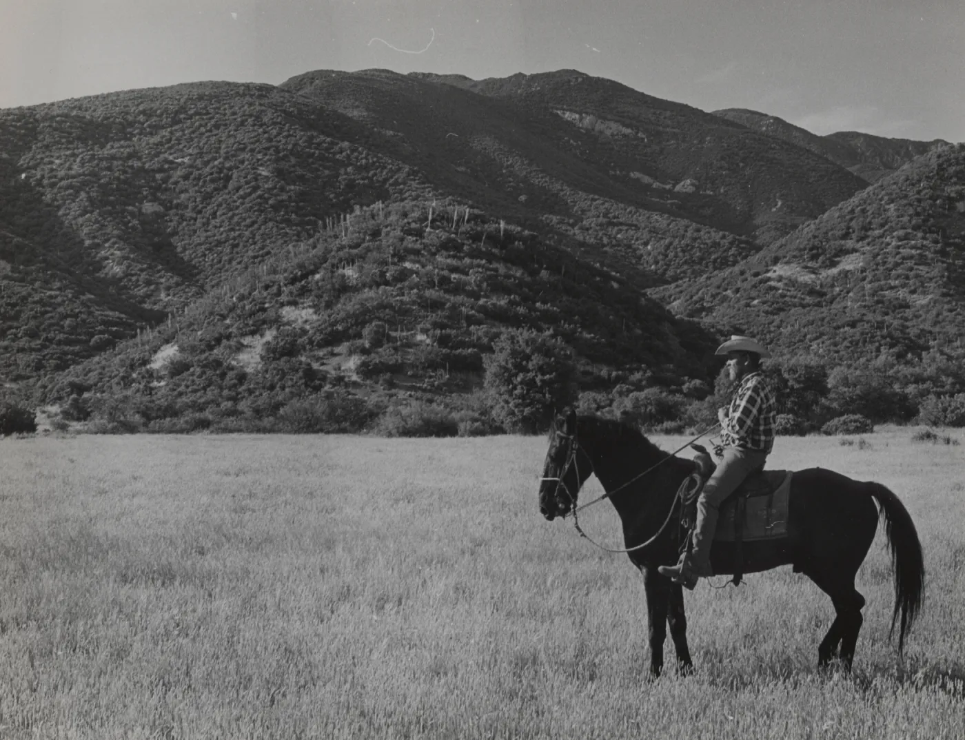 Flores Flat, Santa Cruz Basin, horse and rider