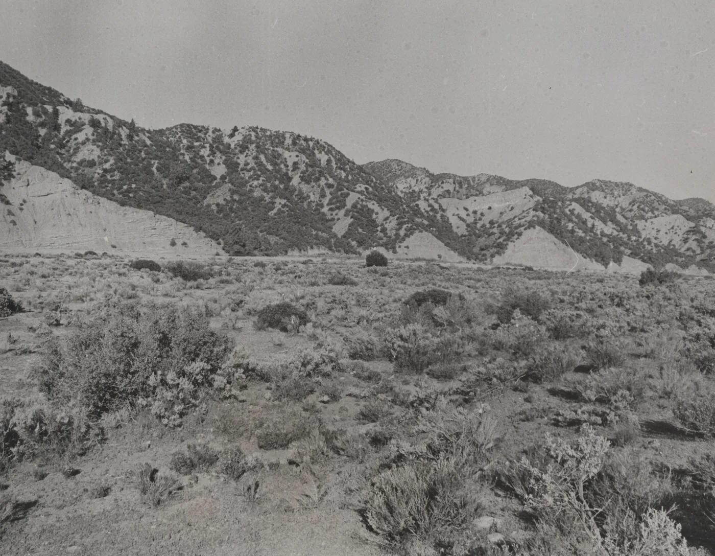 Santa Barbara Canyon