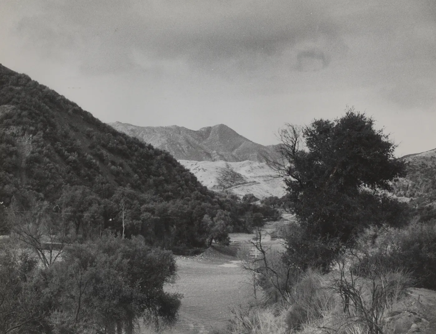 Lower Cuyama (?)