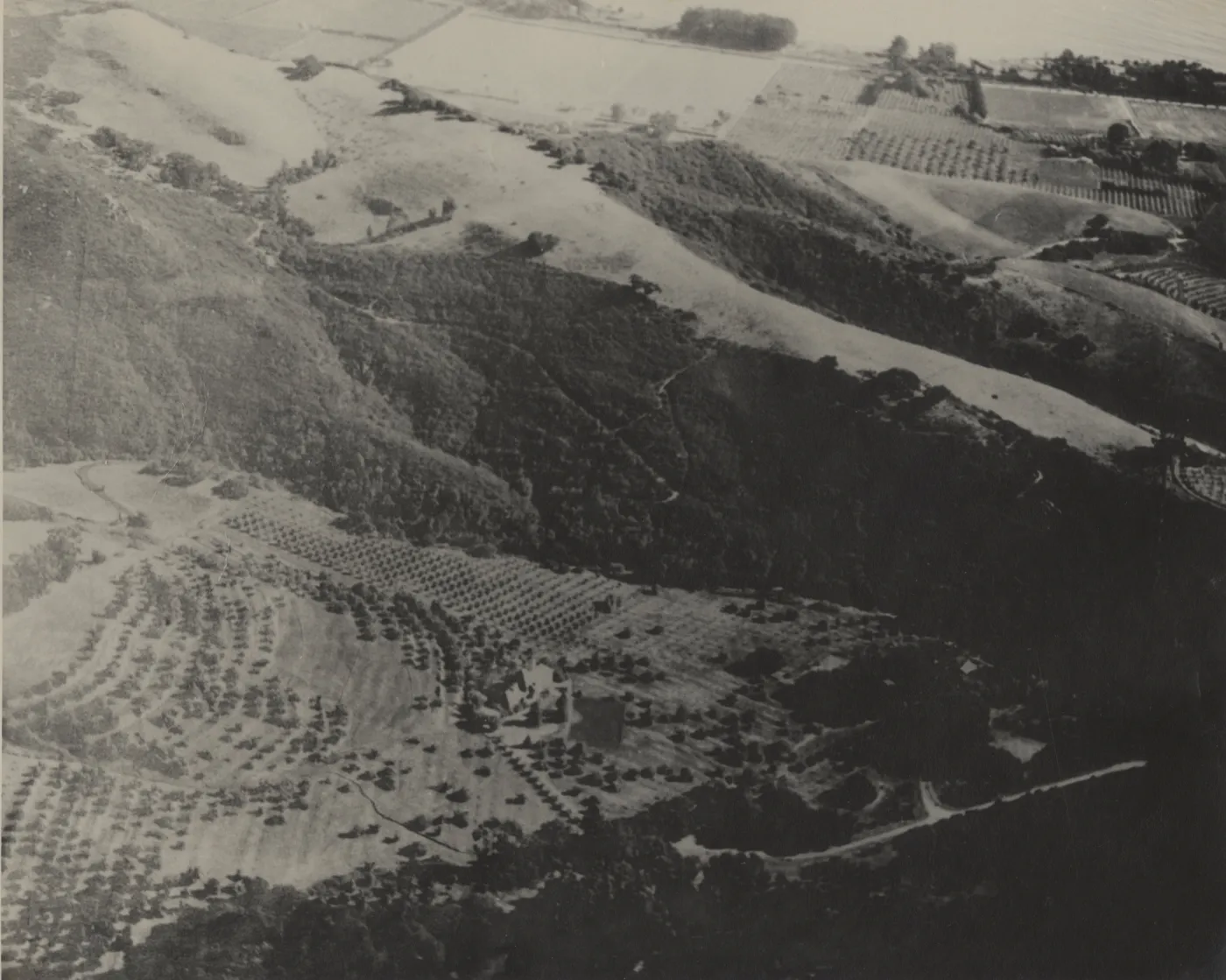 Historic photo of Hay Hill, Torocado Ranch