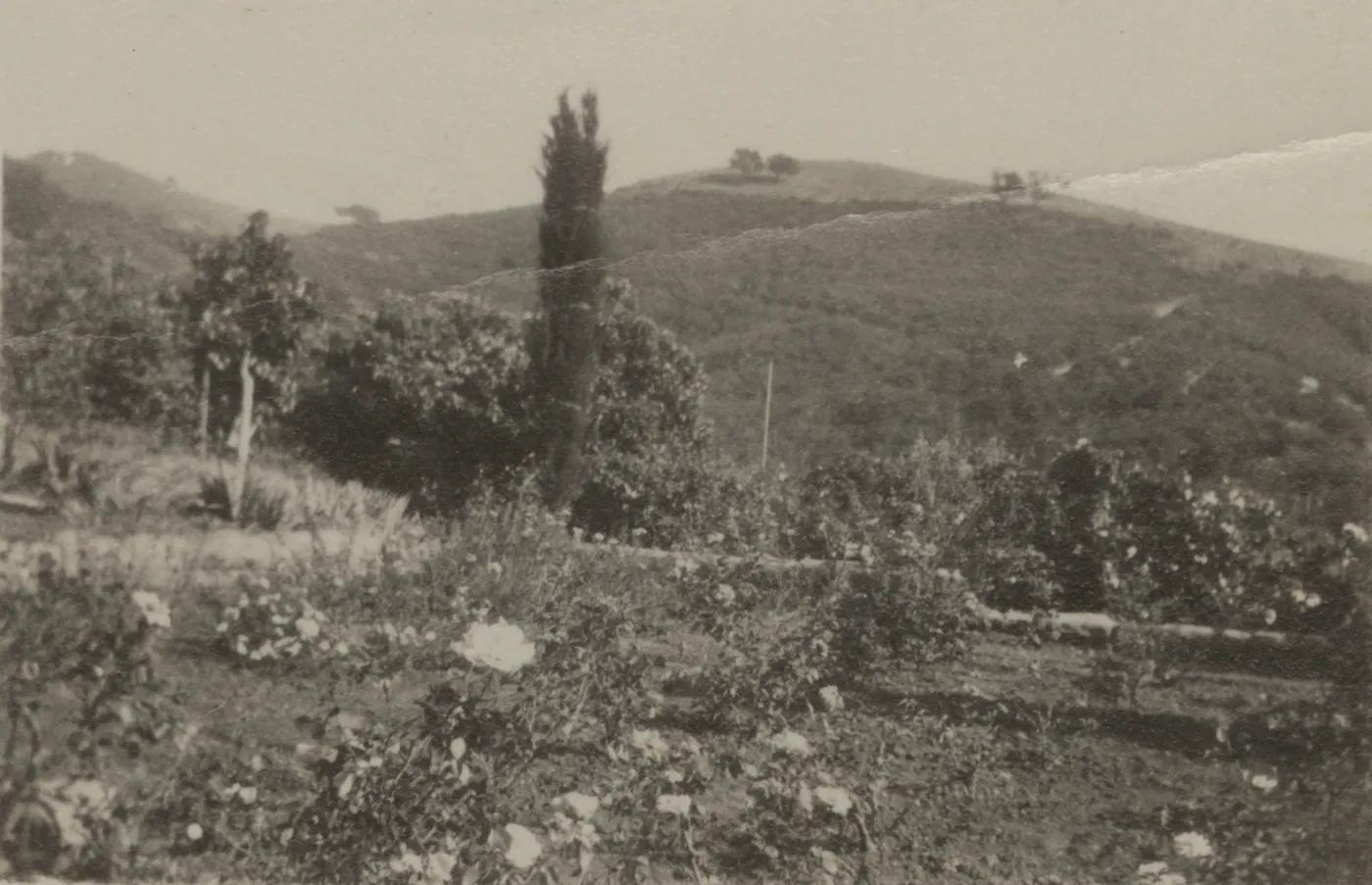 Historic photo of Hay Hill, Torocado Ranch looking toward the hay hills