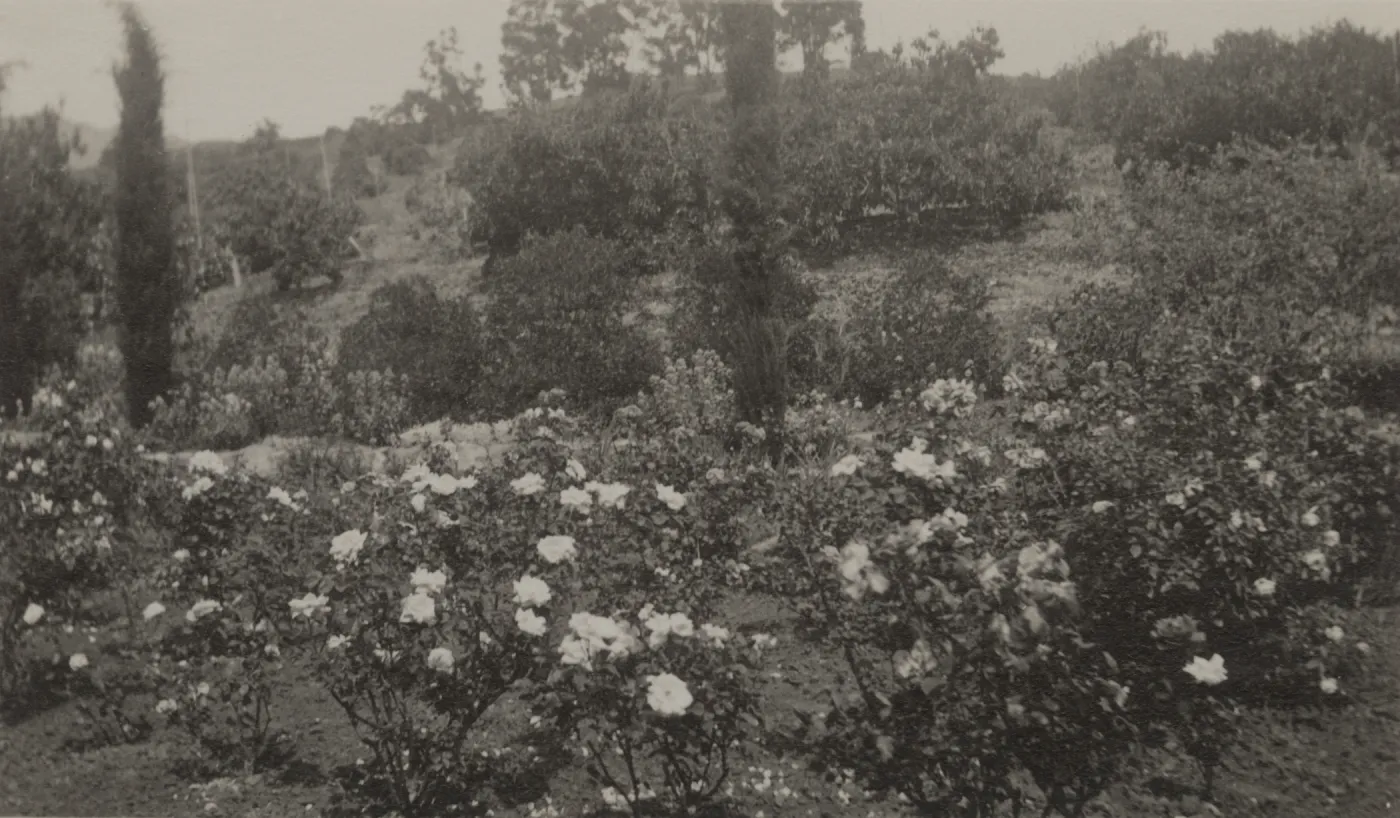 Historic photo of Hay Hill, Torocado Ranch