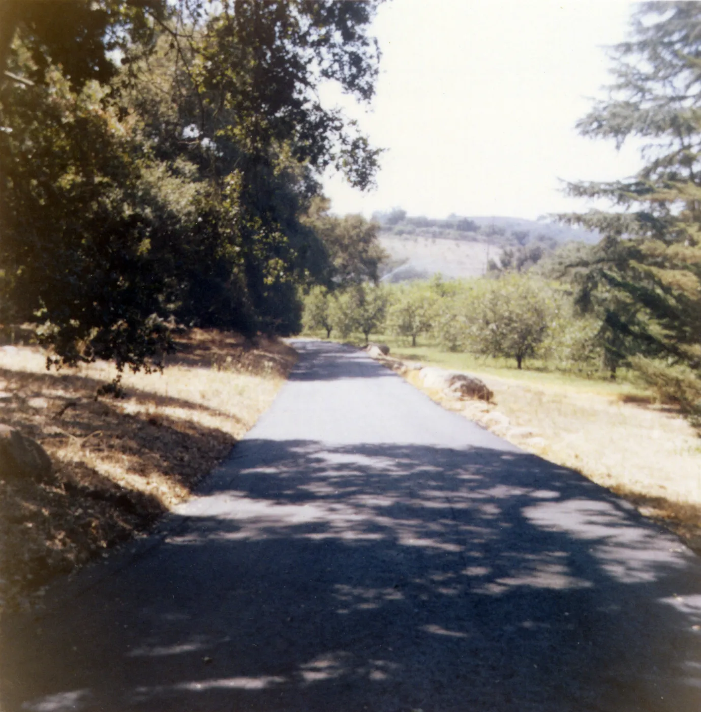 Historic photo of Hay Hill, Torocado Ranch