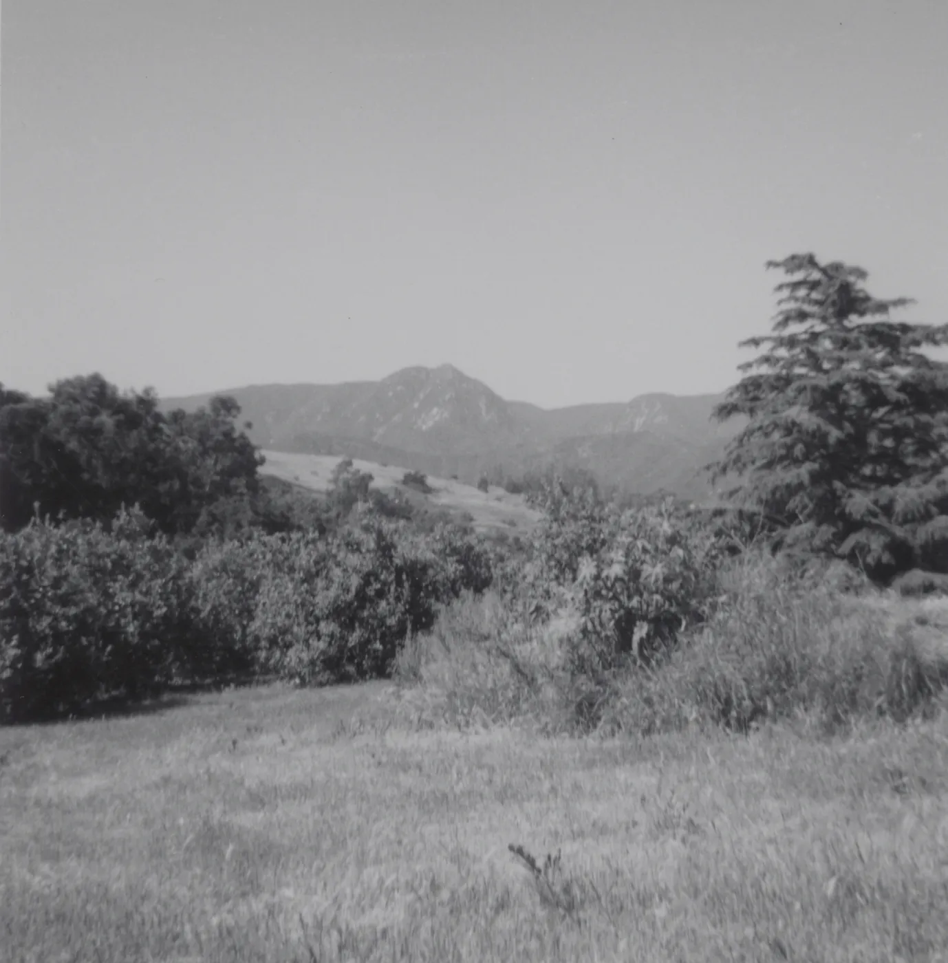 Historic photo of Hay Hill