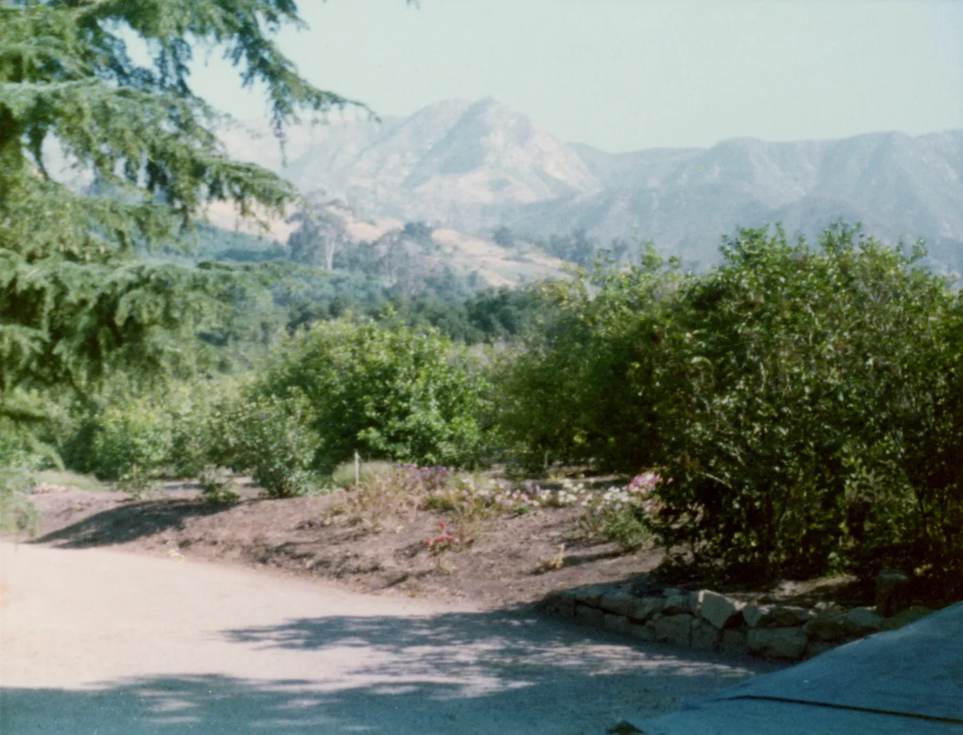 Historic photo of Hay Hill
