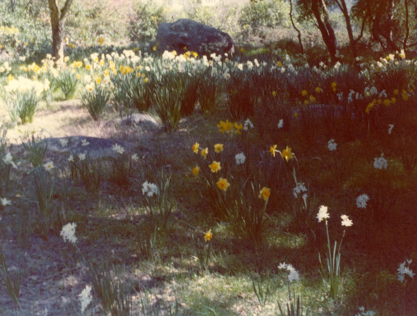 Historic photo of Hay Hill