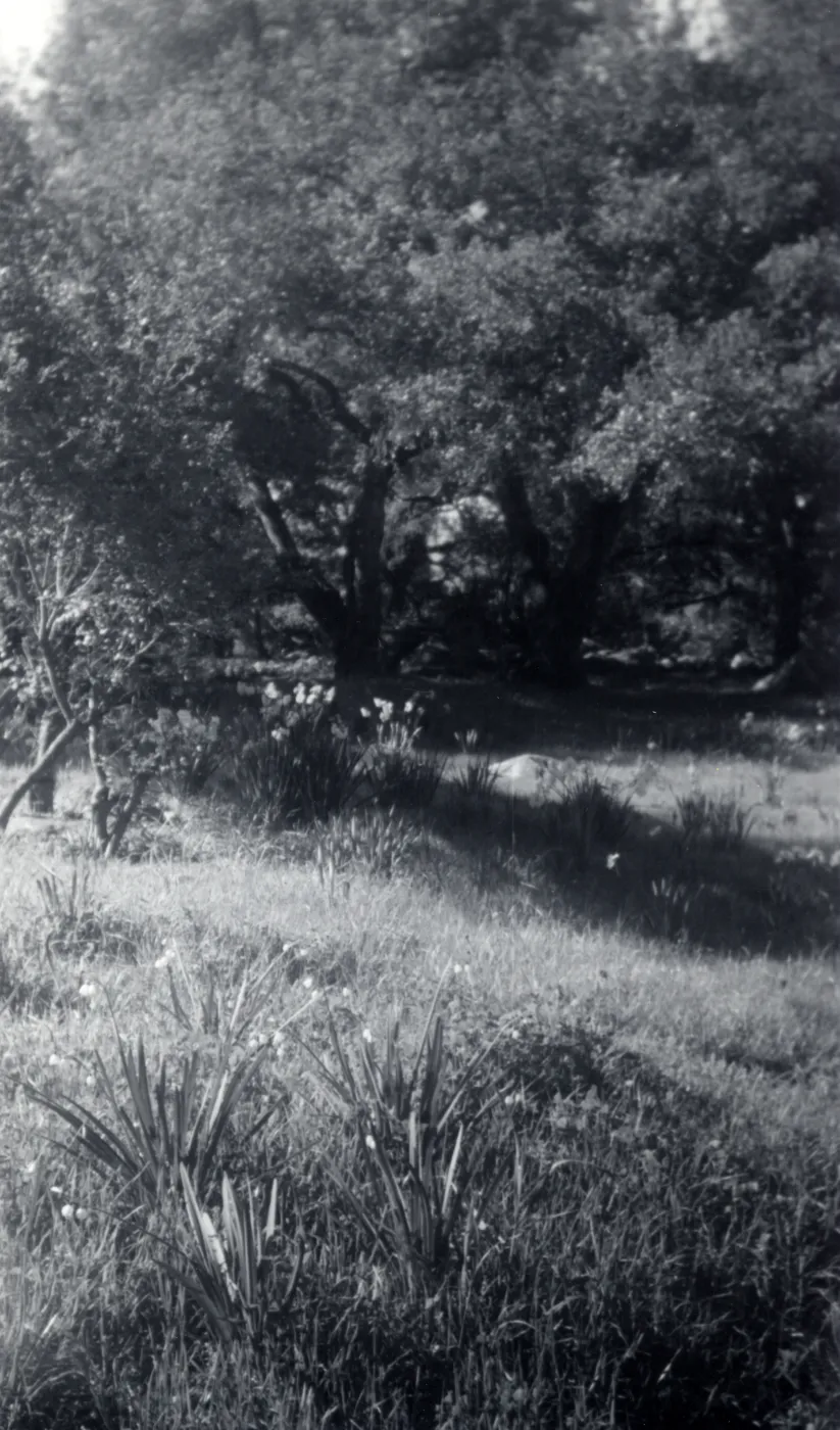 Historic photo of Hay Hill