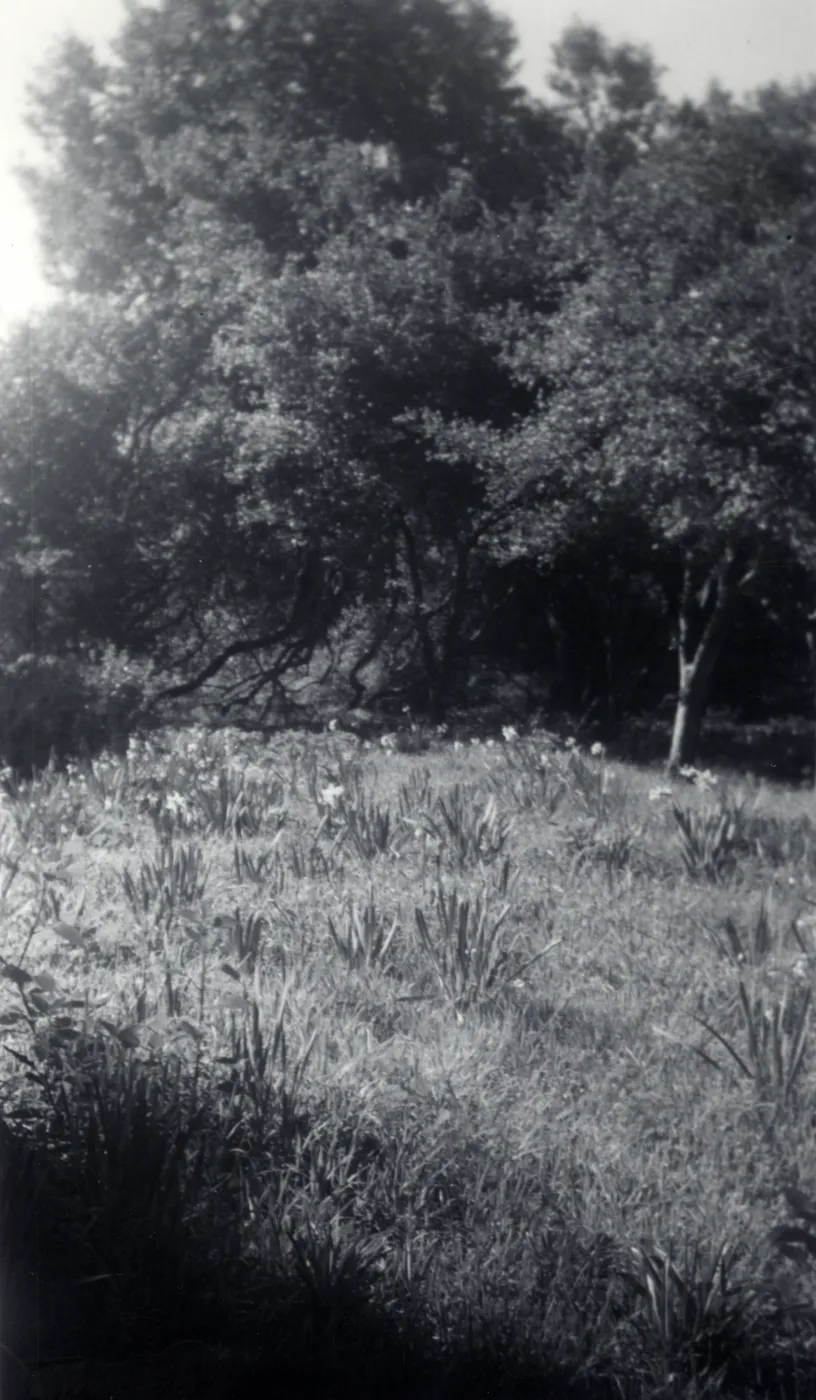 Historic photo of Hay Hill