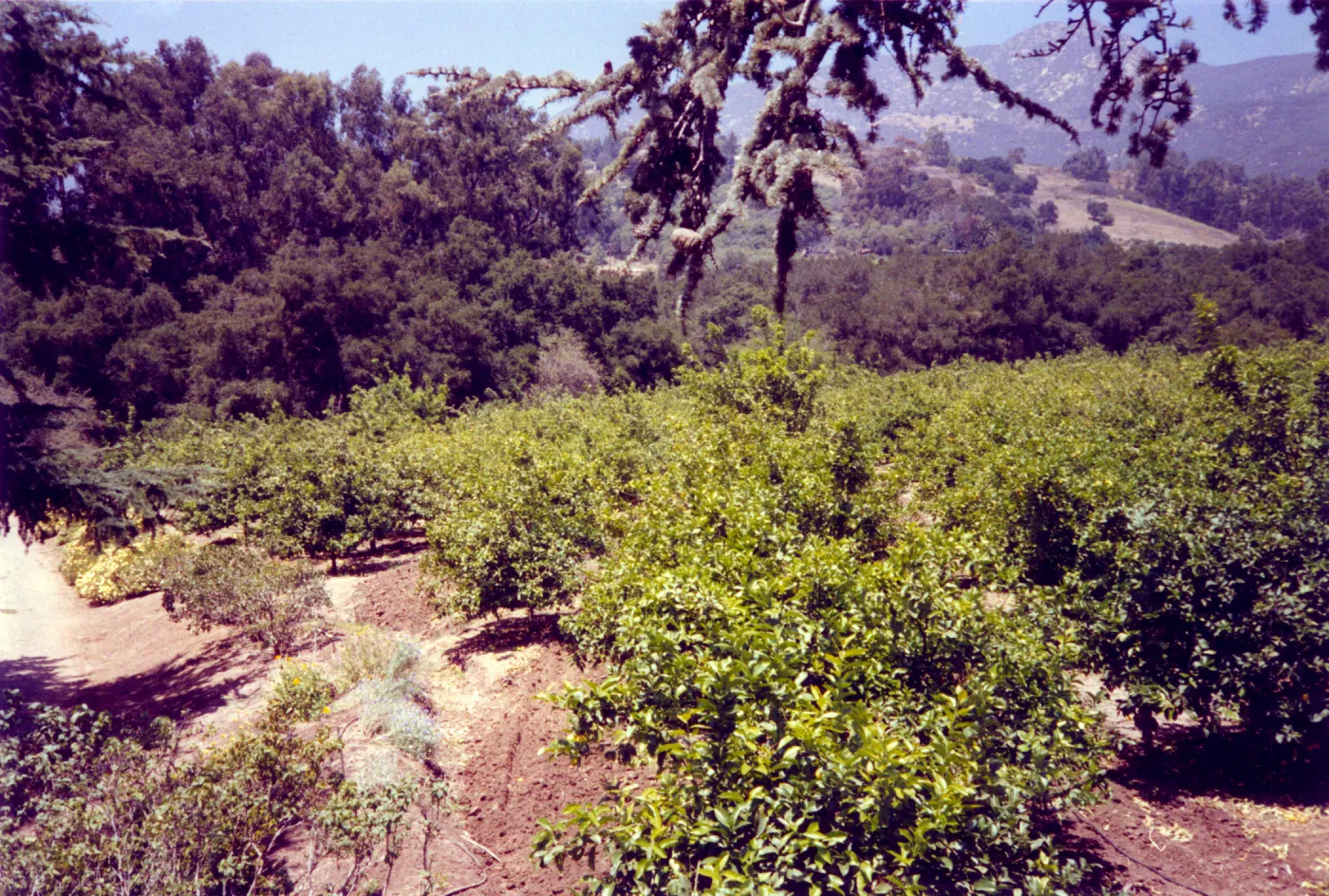 Historic photo of Hay Hill