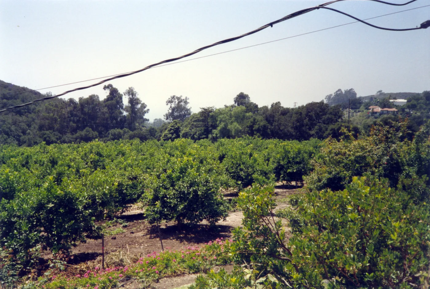 Historic photo of Hay Hill