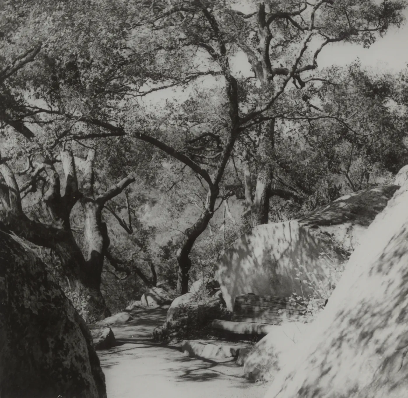 Prichett Trail, wood bench amongst boulders