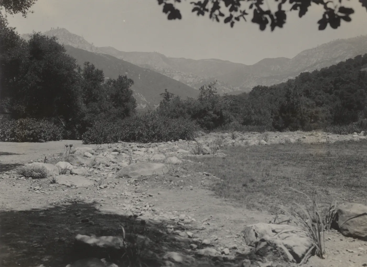 SBBG Meadow, Lower Beach