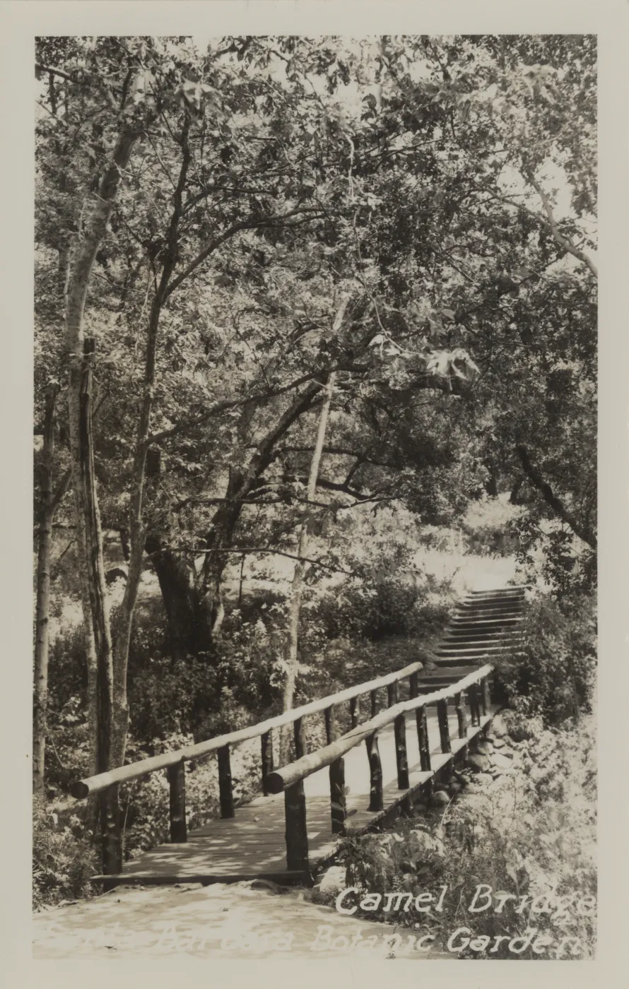 Campbell Bridge, Commercial Postcard