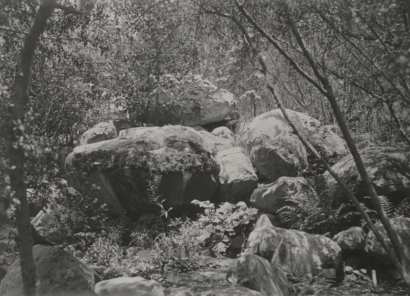 boulder formation in Mission Canyon