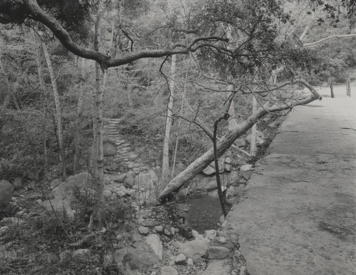 stone steps leading to pool below Mission Dam
