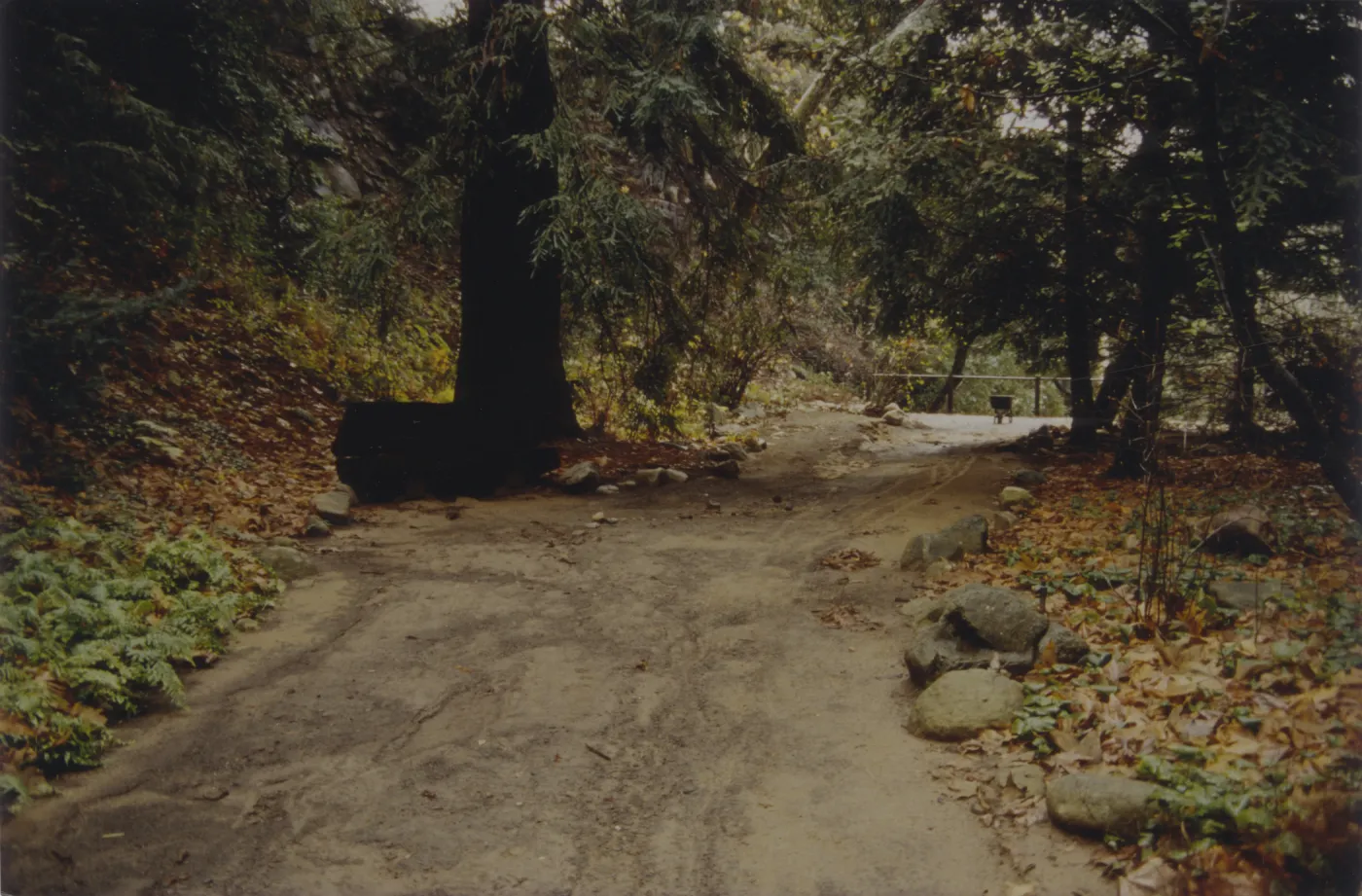 mud flow in Redwood Section after flooding rainfall, 1995