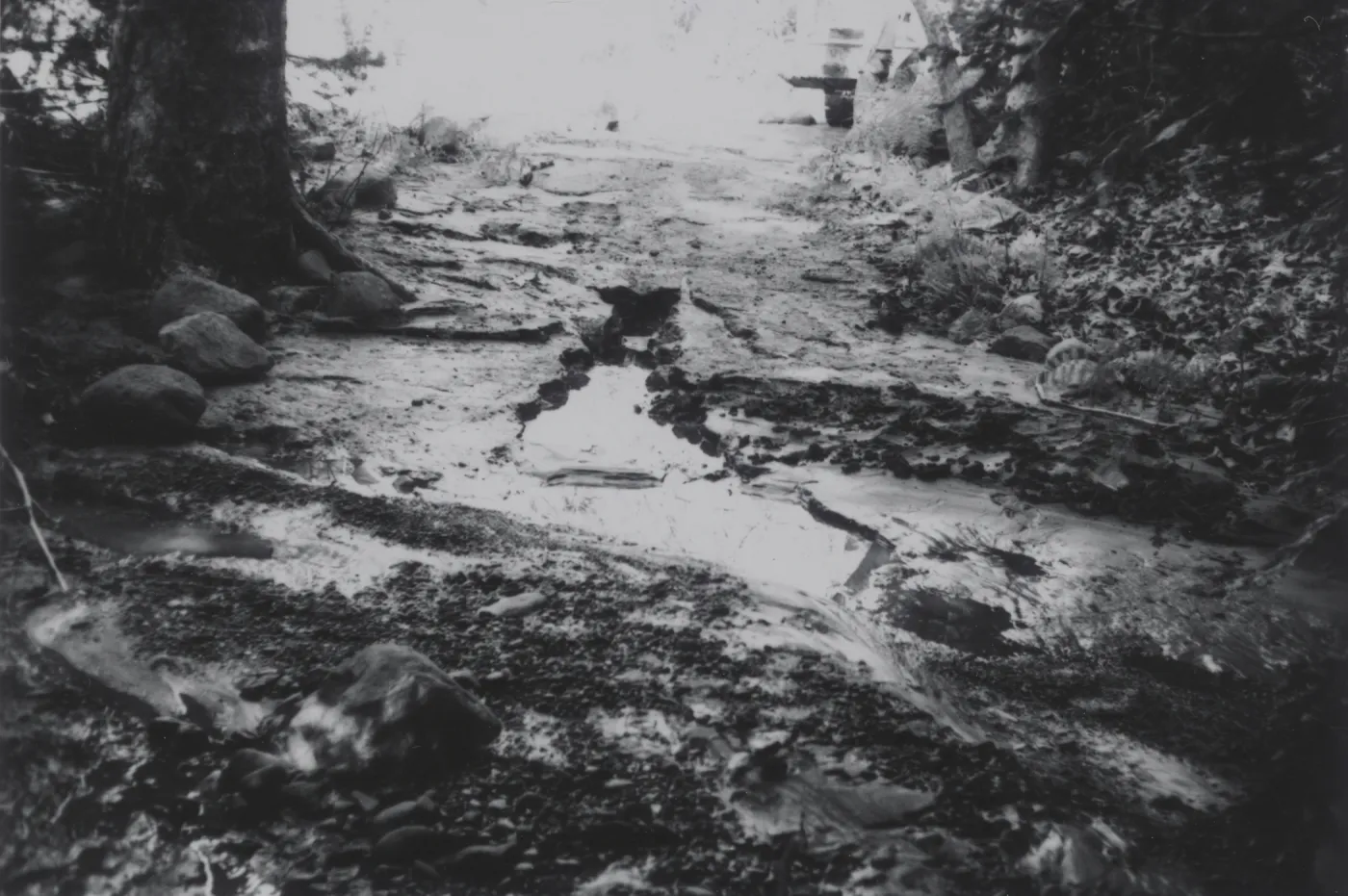 flood damage in Redwood Section, 1969