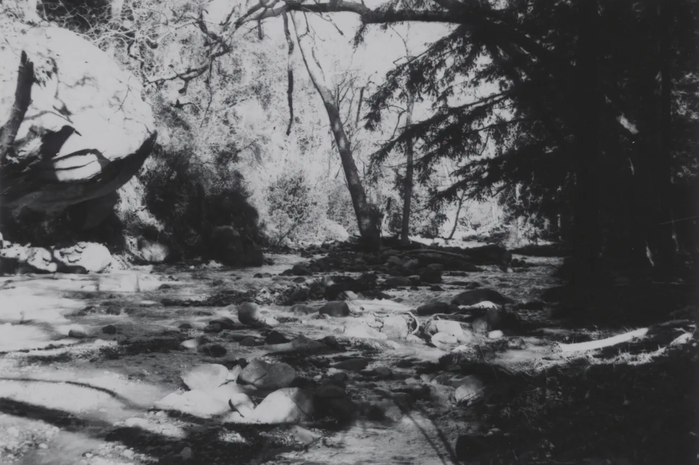 Mission Creek, Redwood Section