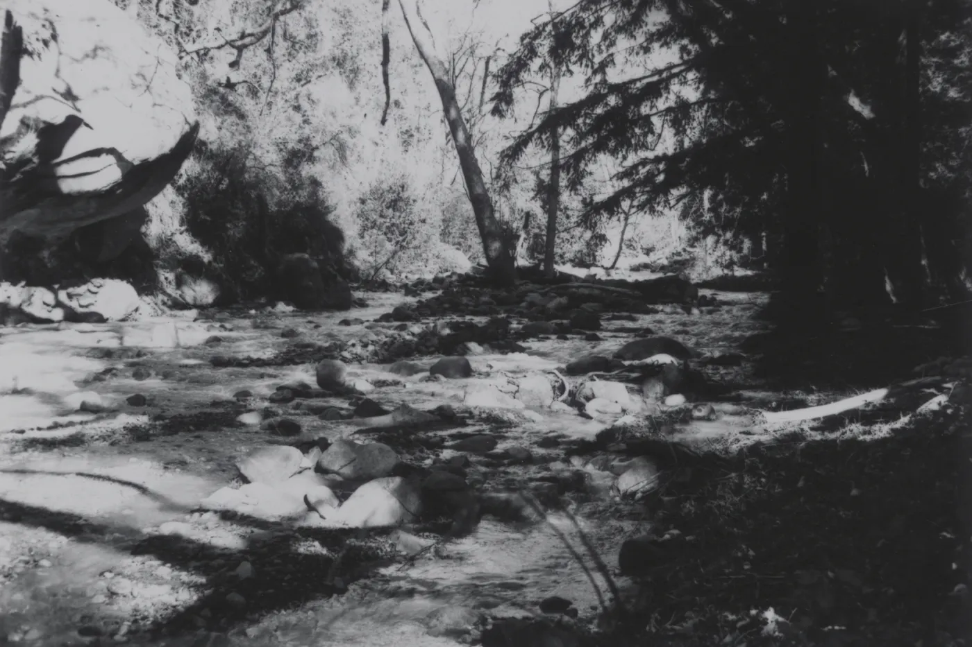 Mission Creek, Redwood Section