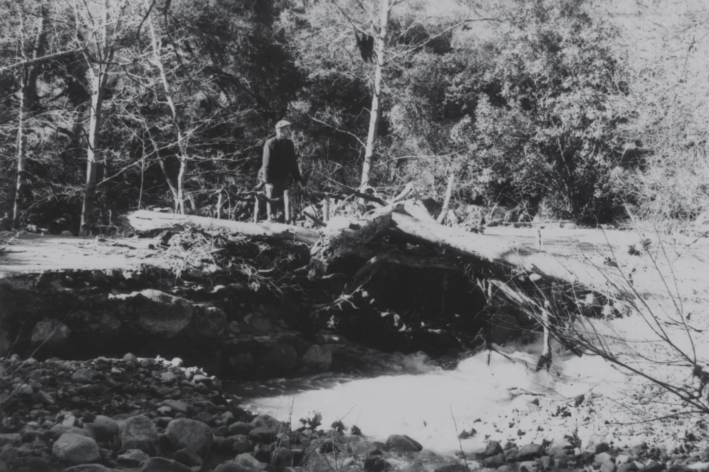 flood debris collected on Mission Dam, 1969